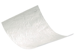 Botiss Collprotect® nativní kolagenová membrána