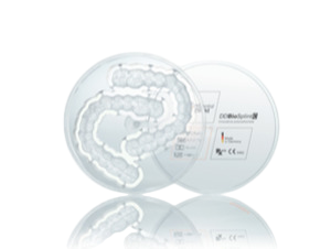 DD Bio Splint C - High-tech polymer