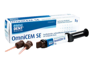 Duálně tuhnoucí kompozita