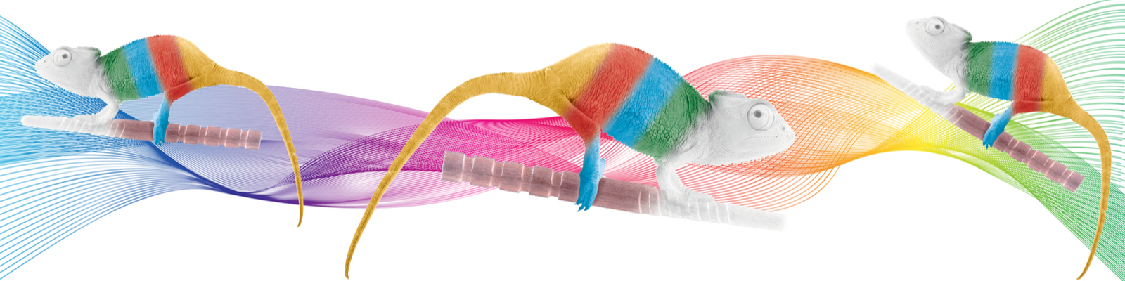 Čepy a materiály pro kořenové nástavby 