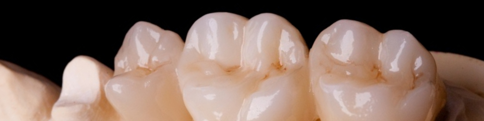 DD Bio ZX? (HT) Bílý,