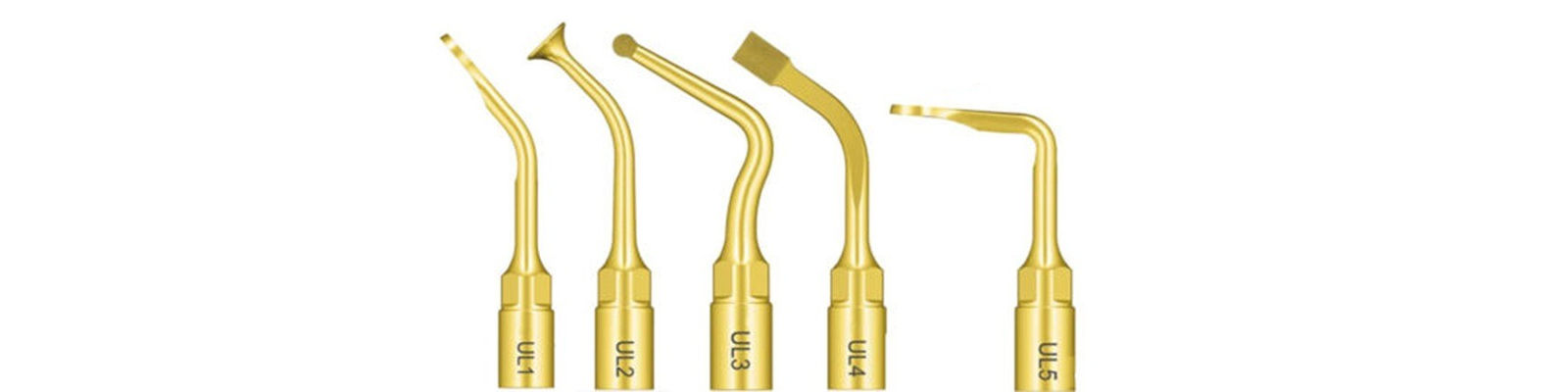 WOODPECKER Sinus Lift