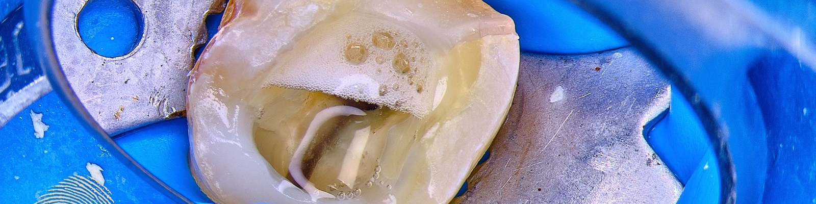 Výplachové přípravky