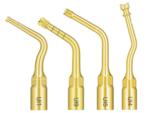 Implantation Woodpecker