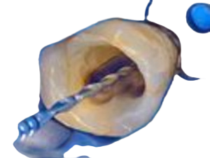 Kvalita zobrazení mikroskopů Labome