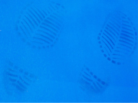 EURONDA - dekontaminační rohož bal.120 ks (4x30 očíslovaných odnímatelných lepicích fólií) 270758