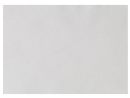 EURONDA Monoart Papírové podložky na tácy 250ks 280x180mm, bílé (205002)